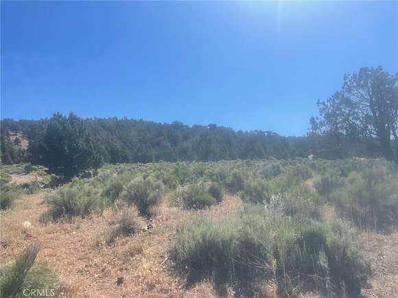 0.057 Acres of Residential Land for Sale in Big Bear City, California
