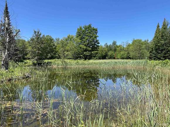 120 Acres of Recreational Land for Sale in Manistique, Michigan