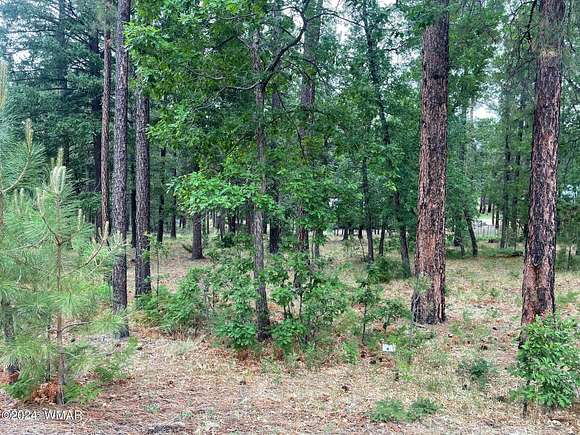 0.46 Acres of Residential Land for Sale in Alpine, Arizona