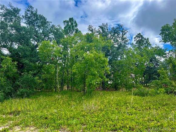 0.39 Acres of Residential Land for Sale in Homosassa, Florida