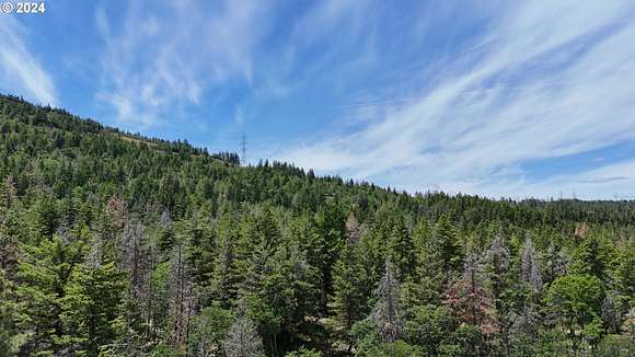 20 Acres of Recreational Land for Sale in Pine Grove, Oregon