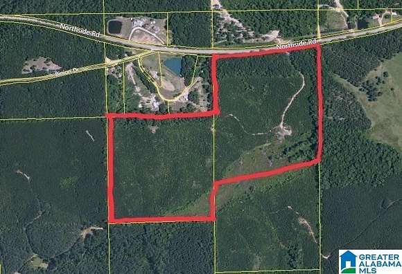 82 Acres of Land for Sale in Tuscaloosa, Alabama