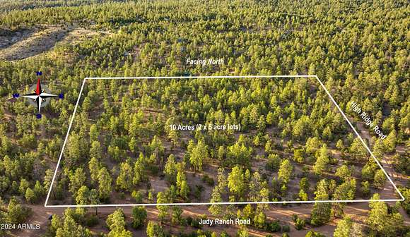 10 Acres of Land for Sale in Overgaard, Arizona