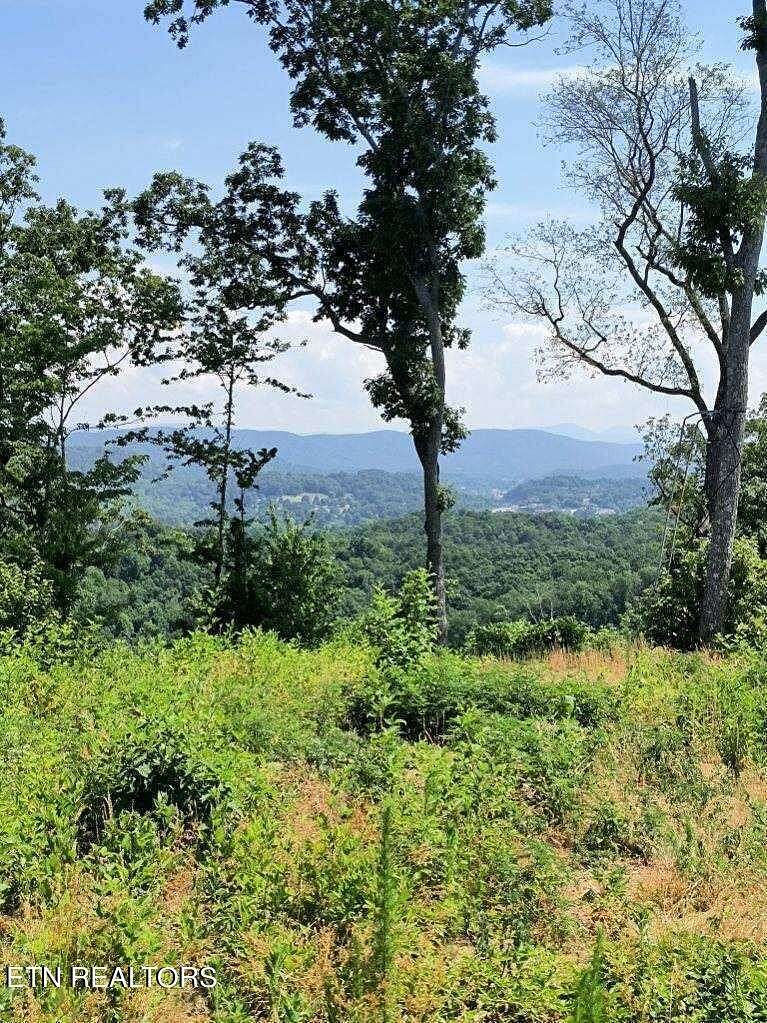 42.9 Acres of Agricultural Land for Sale in Harriman, Tennessee