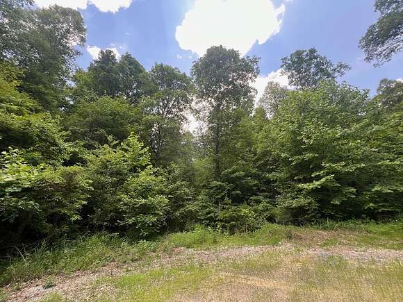 32 Acres of Land for Sale in Hazel Green, Kentucky