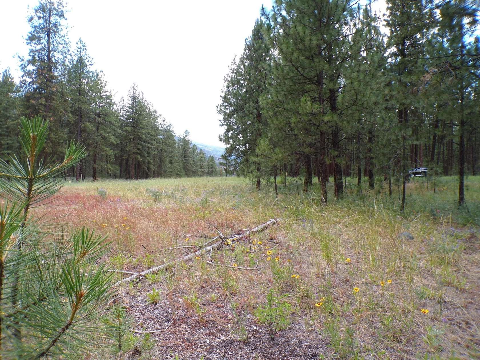 1.2 Acres of Residential Land for Sale in Kettle Falls, Washington