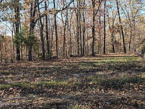 60 Acres of Land for Sale in Noel, Missouri