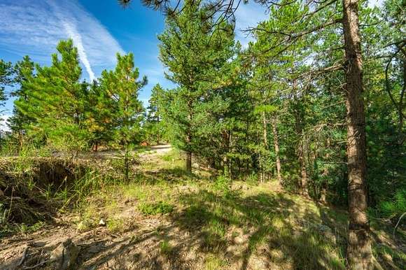 1.56 Acres of Residential Land for Sale in Bailey, Colorado