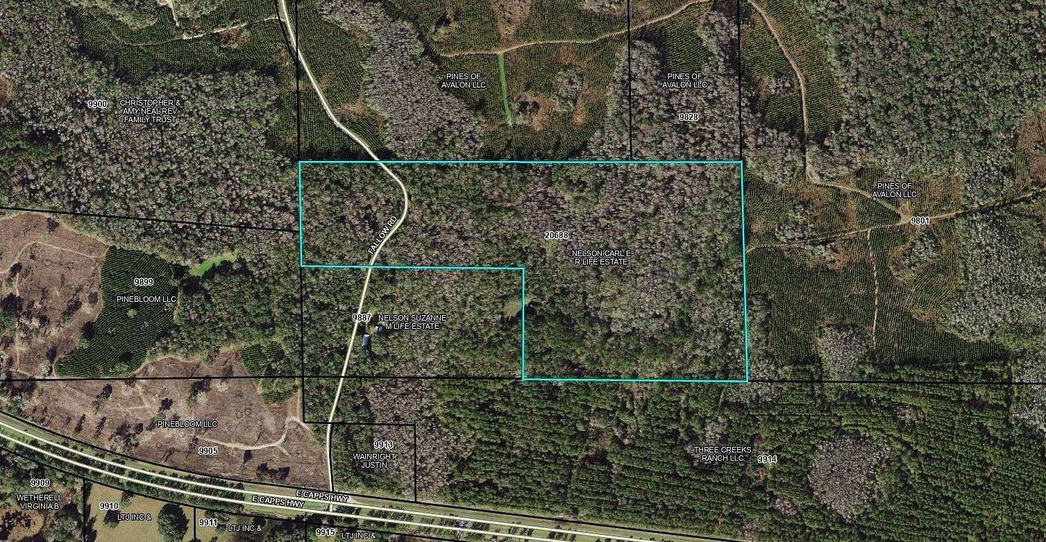 60 Acres of Recreational Land for Sale in Lamont, Florida