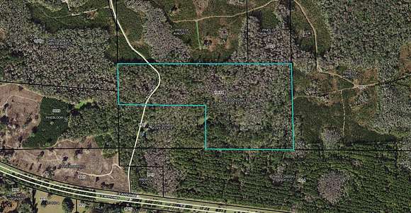 60 Acres of Recreational Land for Sale in Lamont, Florida