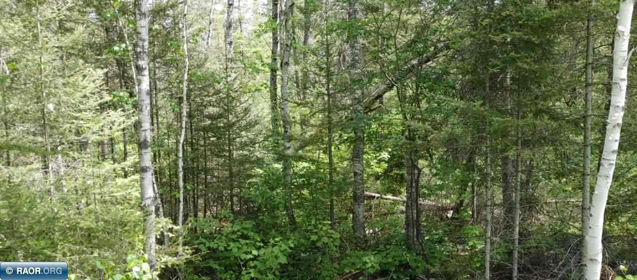 10 Acres of Residential Land for Sale in Ely, Minnesota