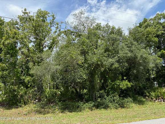 0.459 Acres of Residential Land for Sale in Weeki Wachee, Florida