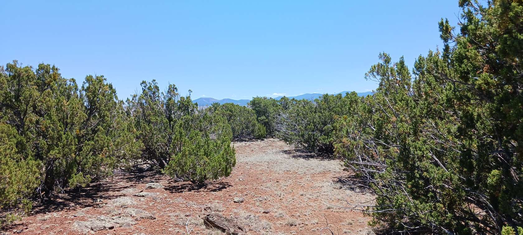 1.01 Acres of Residential Land for Sale in Show Low, Arizona