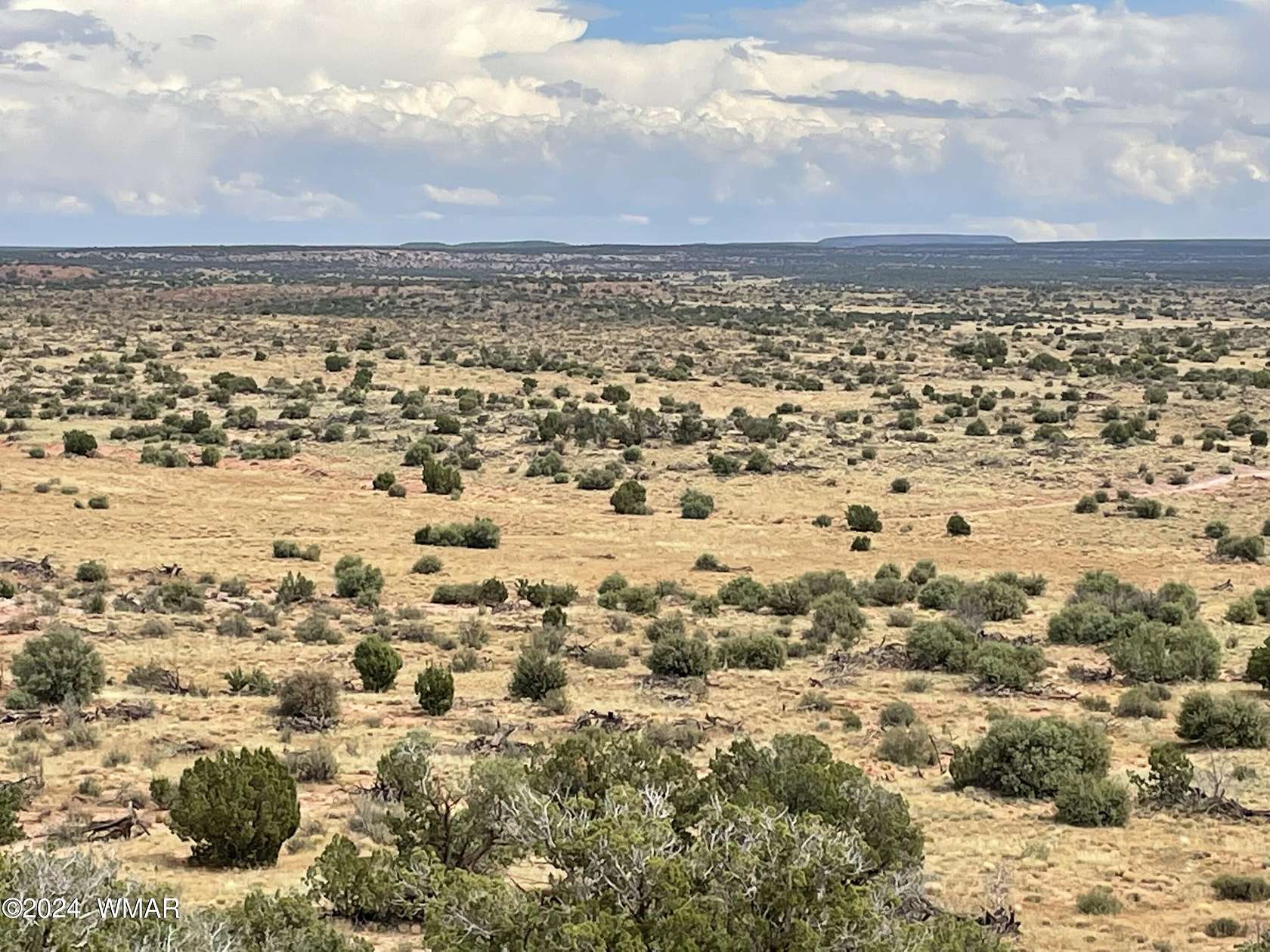 40.52 Acres of Recreational Land for Sale in Snowflake, Arizona