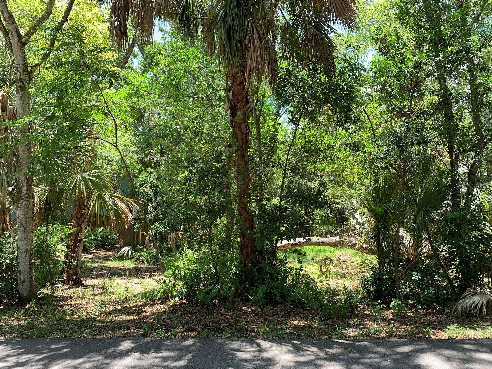 0.19 Acres of Residential Land for Sale in Tarpon Springs, Florida