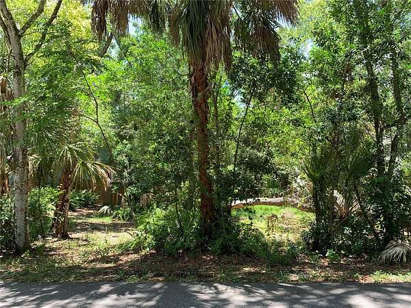 0.37 Acres of Residential Land for Sale in Tarpon Springs, Florida