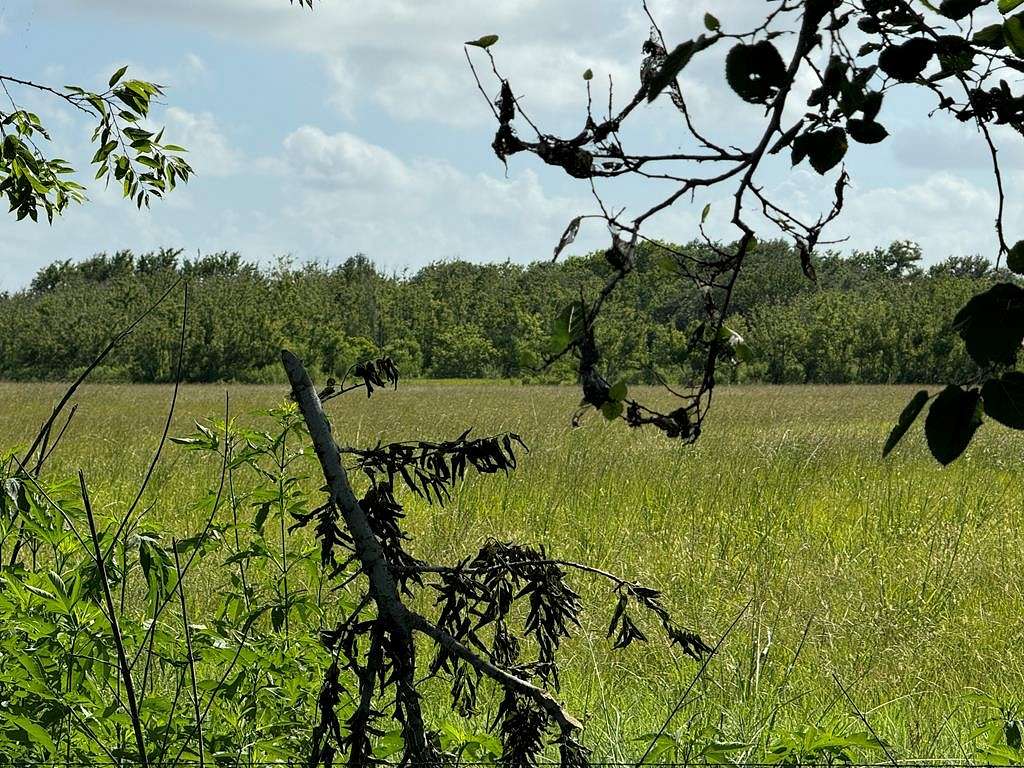 18.968 Acres of Land for Sale in Danbury, Texas