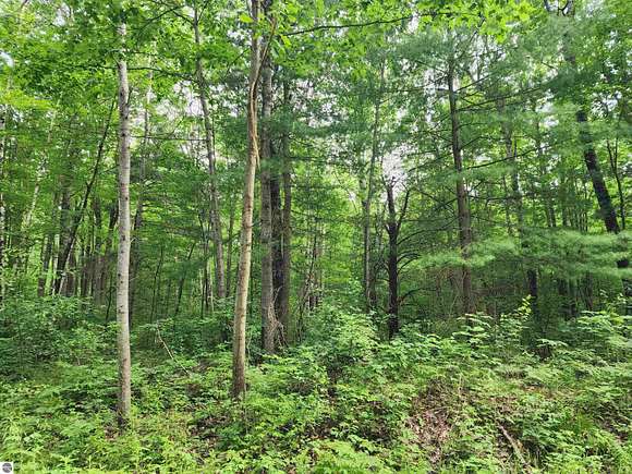 0.59 Acres of Land for Sale in Harrison, Michigan