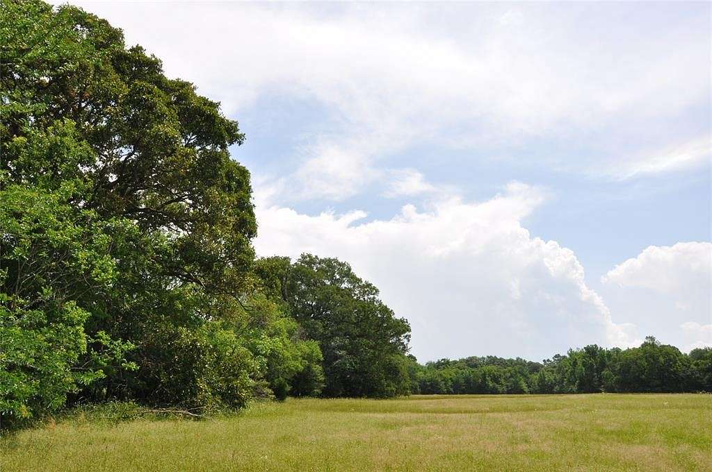 58.564 Acres of Recreational Land for Sale in Como, Texas