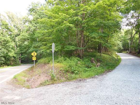 38 Acres of Land for Sale in Harrisville, West Virginia