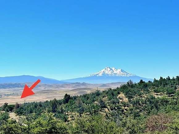 39.3 Acres of Recreational Land for Sale in Montague, California