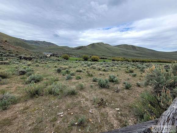 25 Acres of Agricultural Land for Sale in Clayton, Idaho