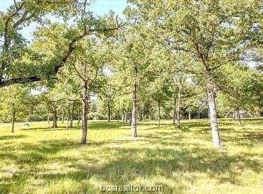 1.34 Acres of Residential Land for Sale in Iola, Texas