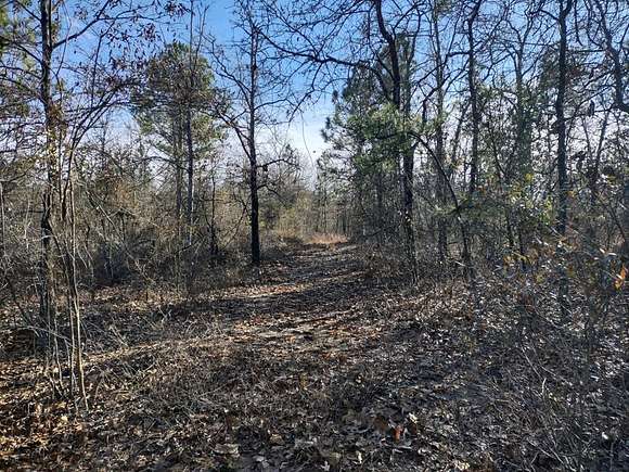 Land for Sale in Box Springs, Georgia