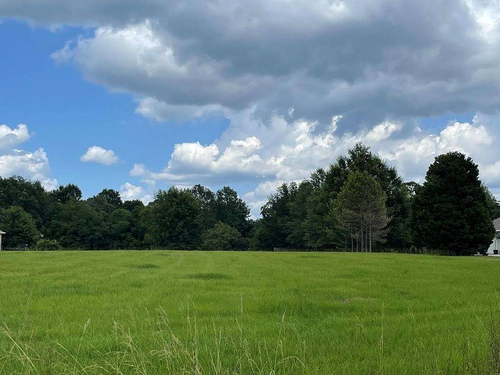 1.3 Acres of Residential Land for Sale in Carriere, Mississippi