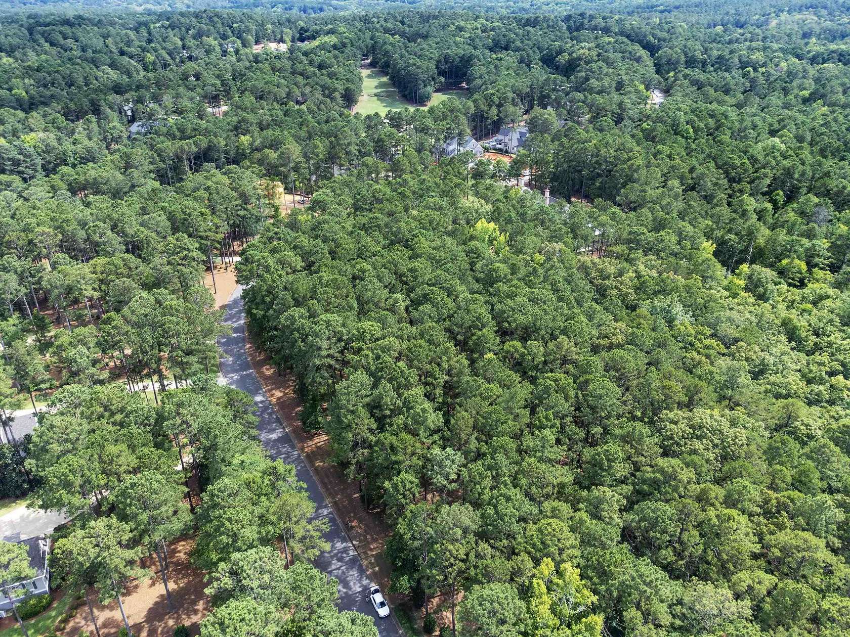 3.96 Acres of Residential Land for Sale in Greensboro, Georgia