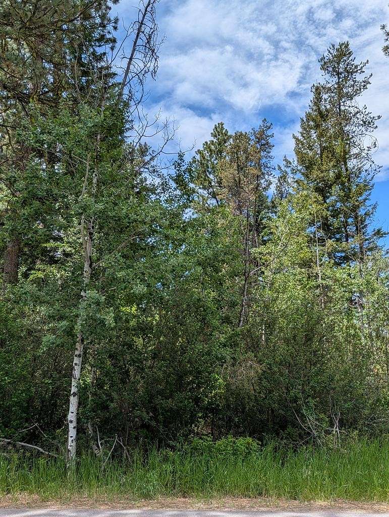 0.162 Acres of Land for Sale in McCall, Idaho