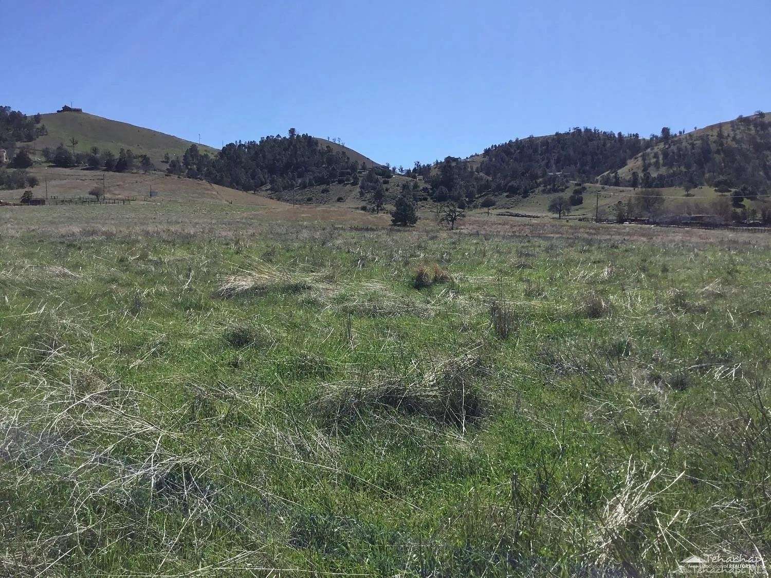 20 Acres of Agricultural Land for Sale in Tehachapi, California