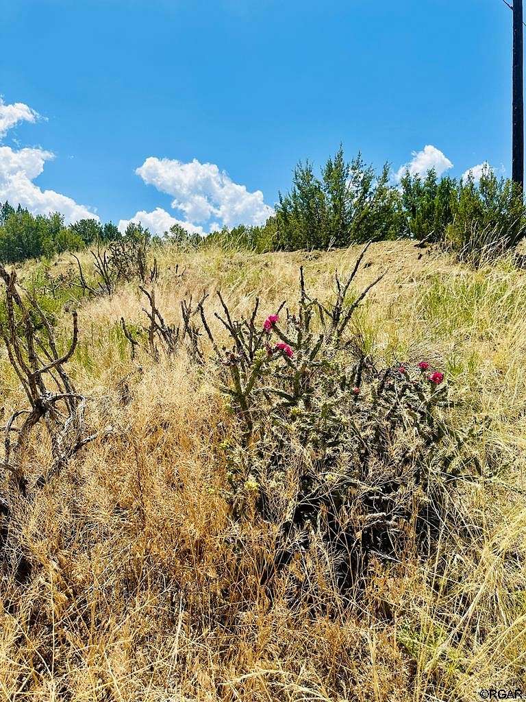 0.323 Acres of Land for Sale in Coal Creek, Colorado