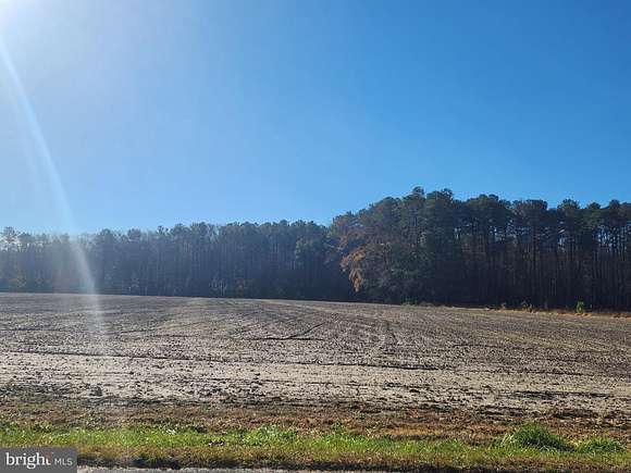 1 Acre of Residential Land for Sale in Laurel, Delaware