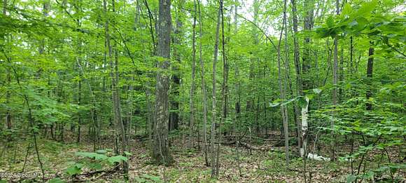 5.2 Acres of Land for Sale in Fulton Town, New York