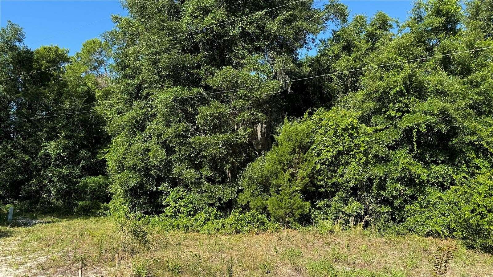 0.49 Acres of Residential Land for Sale in Fort McCoy, Florida
