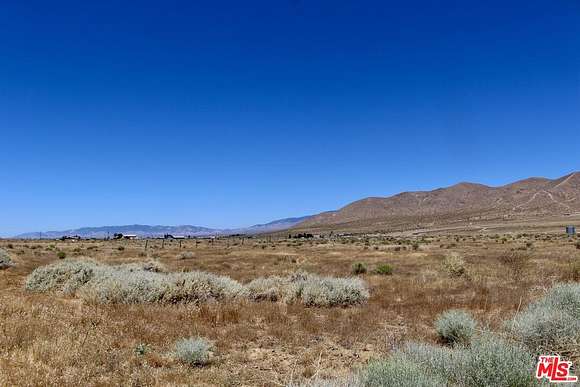 Commercial Land for Sale in Rosamond, California