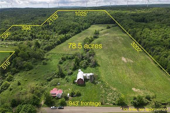 17 Acres of Land with Home for Sale in Cherry Creek, New York