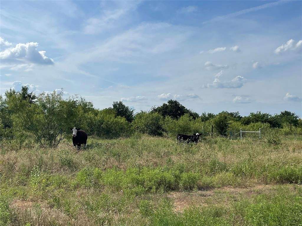 84 Acres of Land for Sale in Bridgeport, Texas