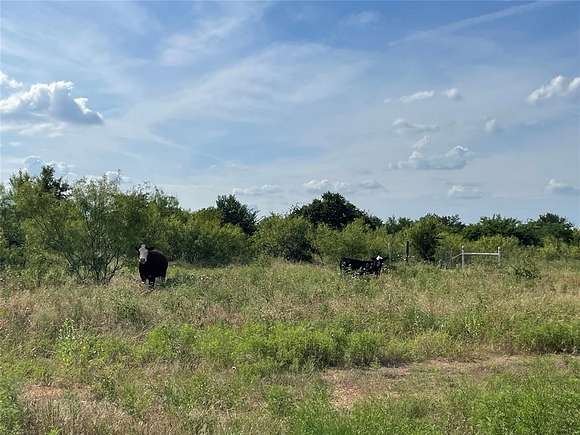 84 Acres of Land for Sale in Bridgeport, Texas