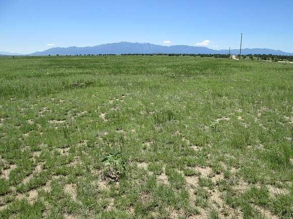 80 Acres of Recreational Land & Farm for Sale in Rye, Colorado