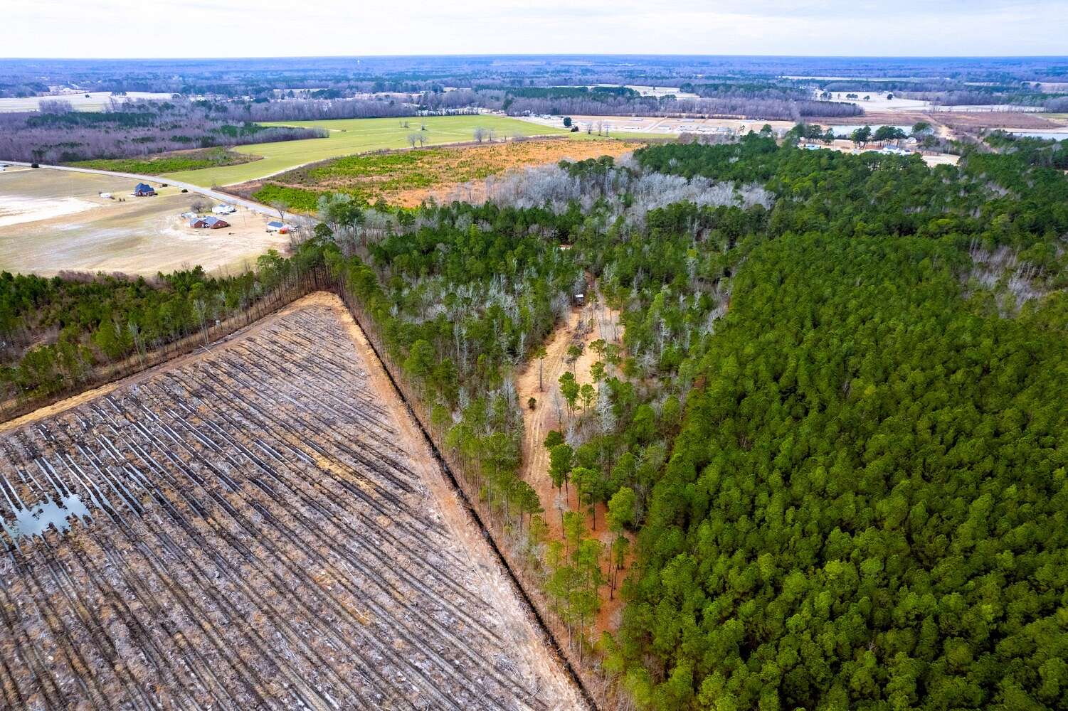11.56 Acres of Land for Sale in Belvoir, North Carolina