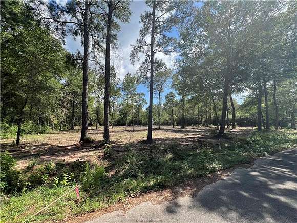 2.5 Acres of Residential Land for Sale in Plantersville, Texas