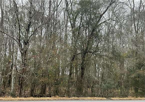 132.35 Acres of Land for Sale in Townsend, Georgia