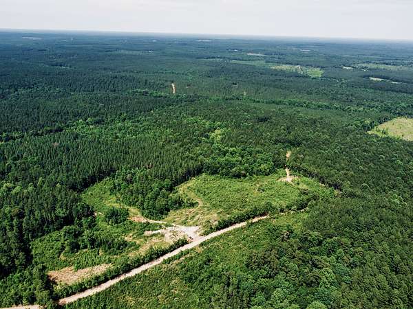 2 Acres of Residential Land for Sale in Heidelberg, Mississippi