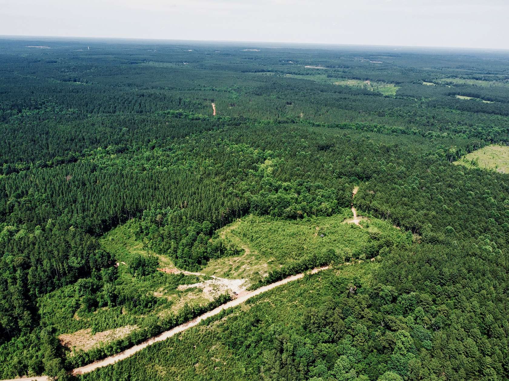 6.53 Acres of Land for Sale in Heidelberg, Mississippi