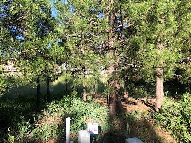 0.39 Acres of Residential Land for Sale in McCloud, California
