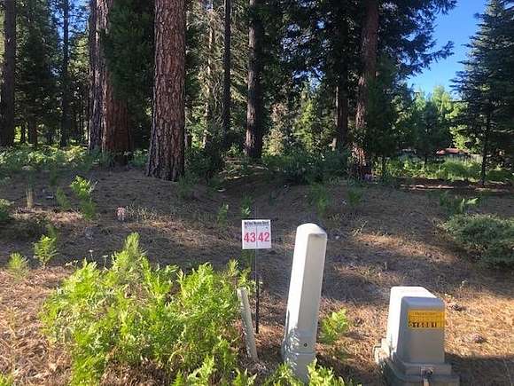 0.25 Acres of Residential Land for Sale in McCloud, California