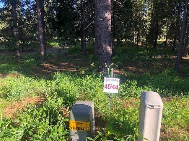 0.33 Acres of Residential Land for Sale in McCloud, California