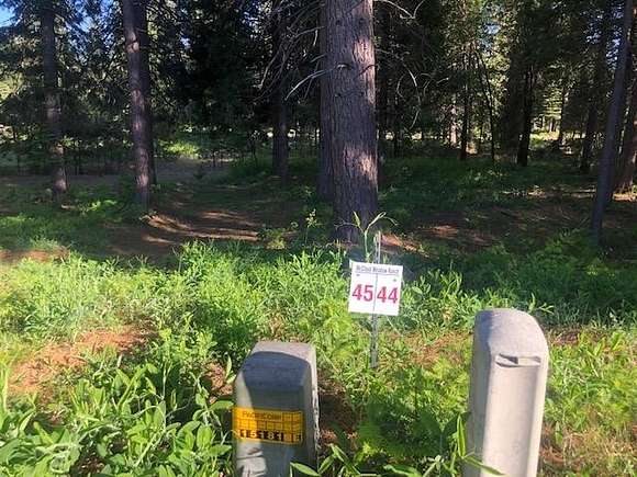 0.31 Acres of Residential Land for Sale in McCloud, California